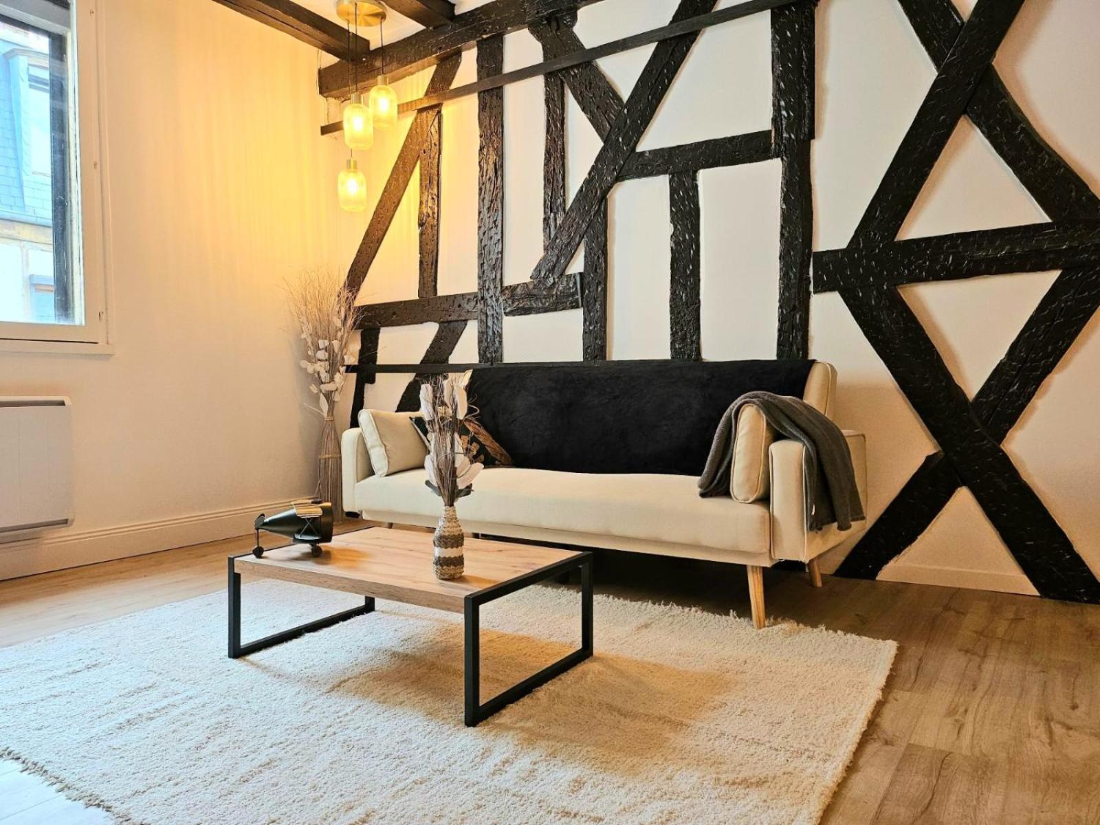 La Dame Blanche - Appartement Hypercentre Historique Bourges Bagian luar foto